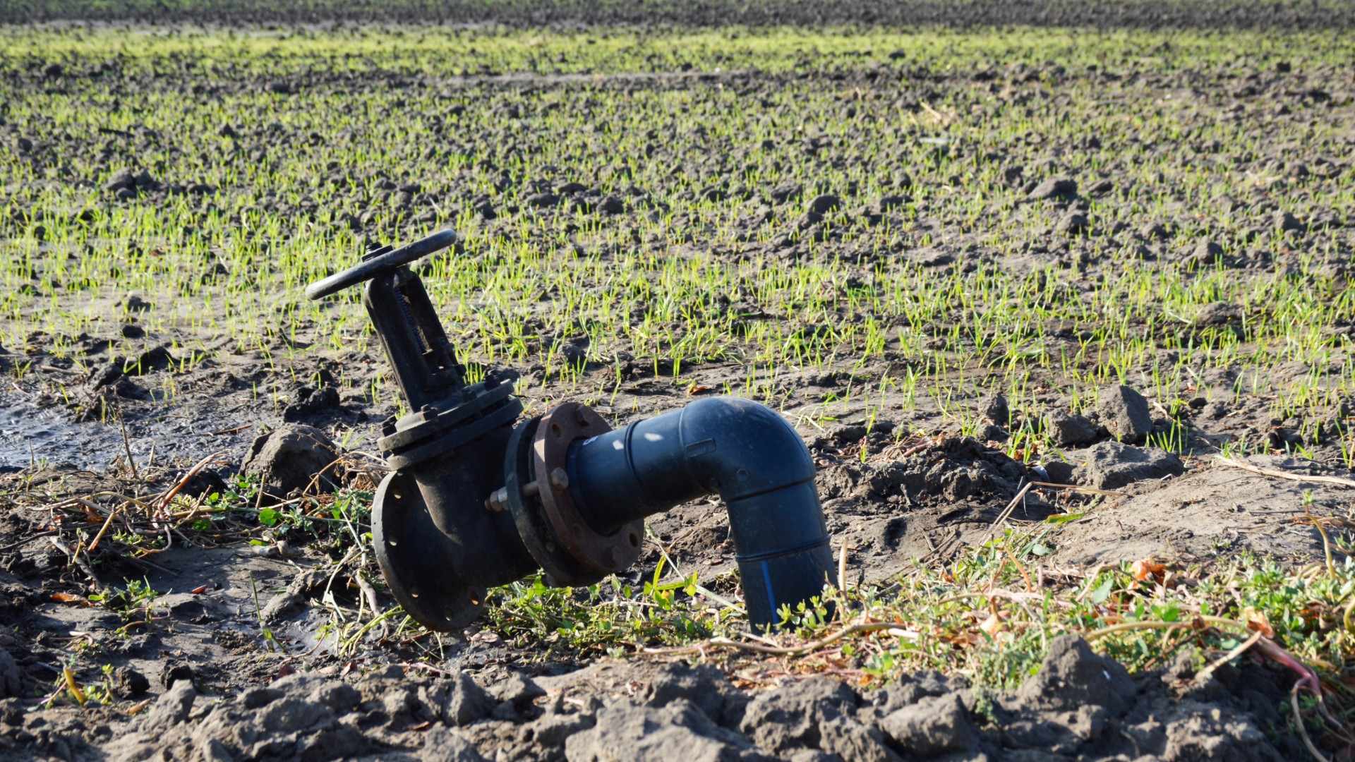 Enhancing Soil Preparation and Crop Establishment