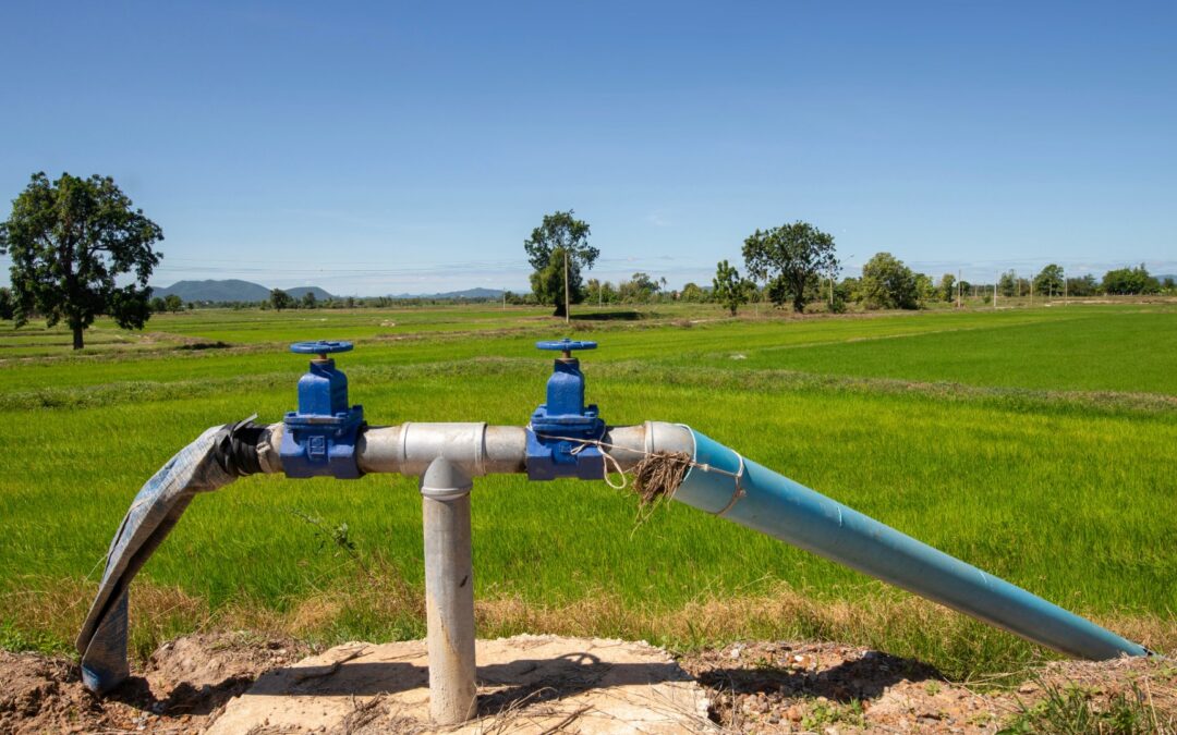 Top Applications of Agriculture Water Tubes in Modern Farming