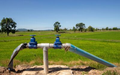 Top Applications of Agriculture Water Tubes in Modern Farming