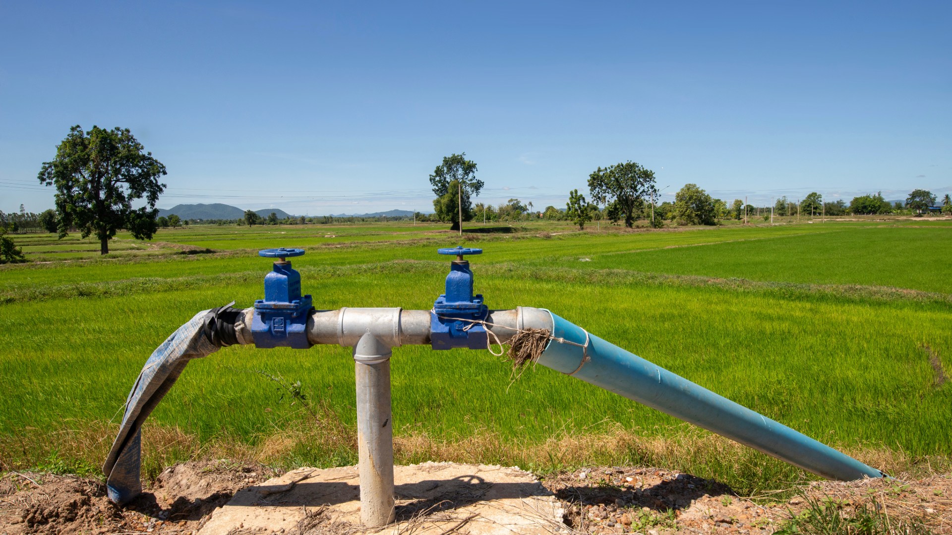 Top Applications of Agriculture Water Tubes in Modern Farming