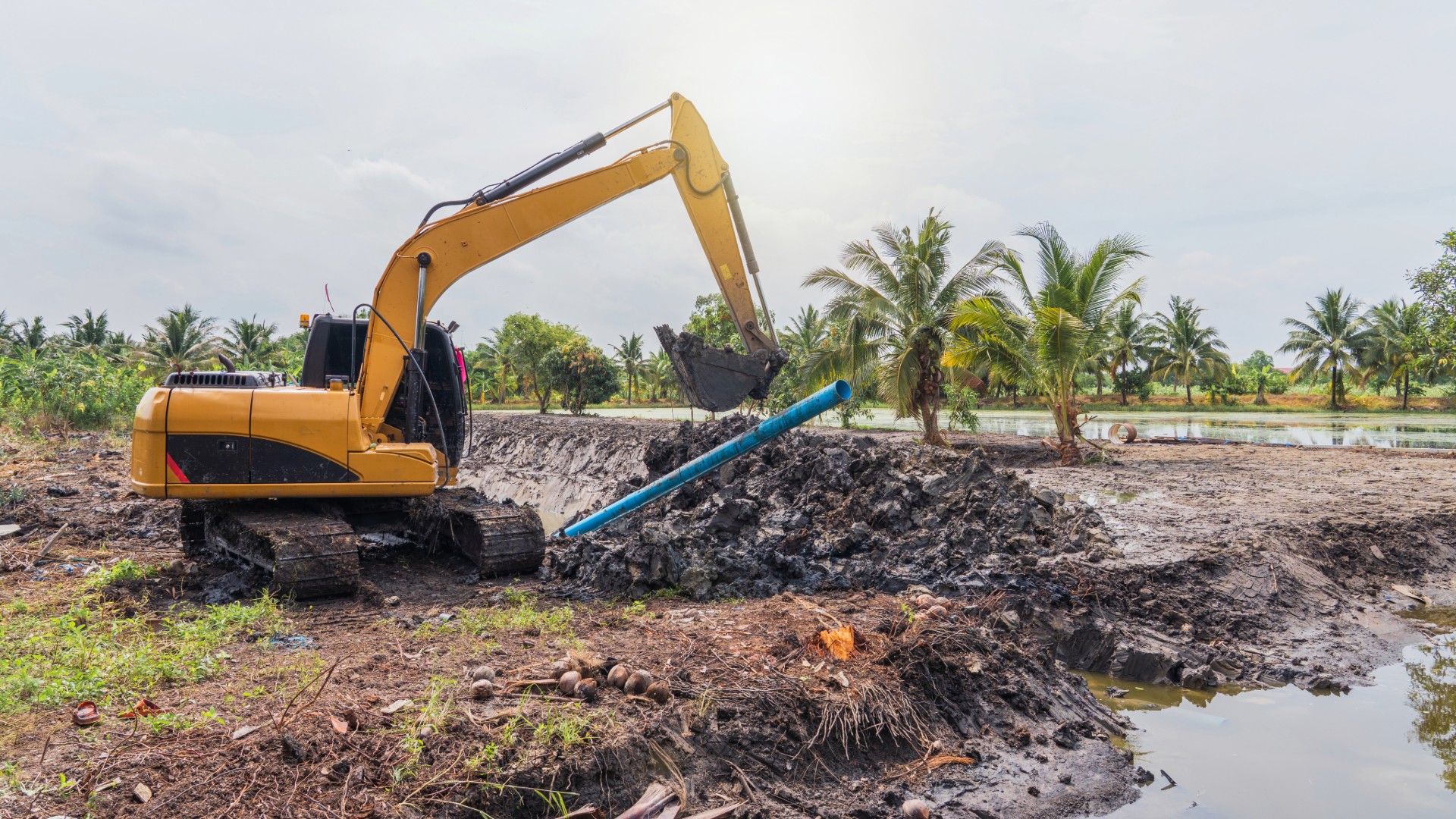 Post-Harvest Operations and Equipment Maintenance