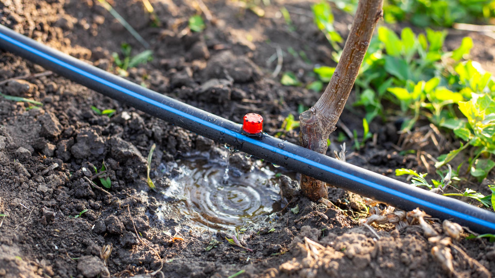 Enabling Sustainable Irrigation Systems